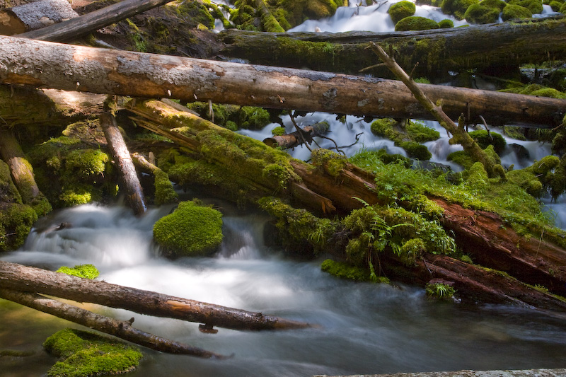 Clearwater Falls